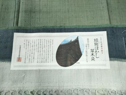 平和屋着物●訪問着　本場真綿絢結城紬　作家物　繧絢ぼかし　草木染　反端付き　ロング丈　正絹　逸品　未使用　CABB4087yc