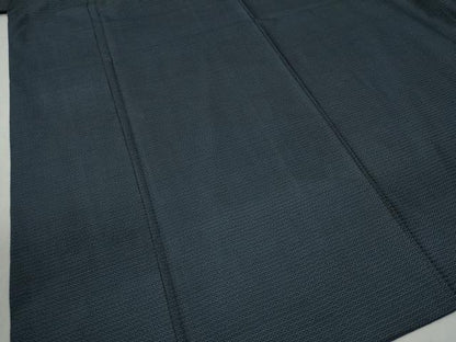平和屋着物●男性　本場大島紬　アンサンブル　100亀甲　総詰め　正絹　逸品　CABB4333yc