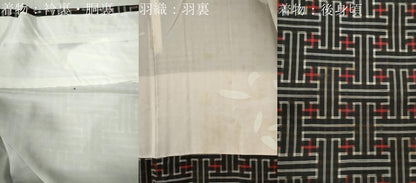 平和屋着物●本場大島紬　龍郷絣　秋名バラ　アンサンブル　正絹　逸品　CABB4384yc