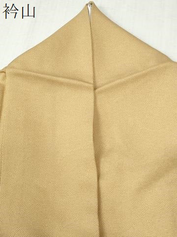 平和屋着物●江戸小紋 鮫小紋柄 正絹 逸品 CABB4565yc