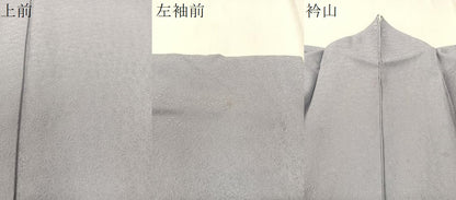 平和屋着物●上質な色無地　菊地紋　藤鼠色　正絹　逸品　CABB4847vp