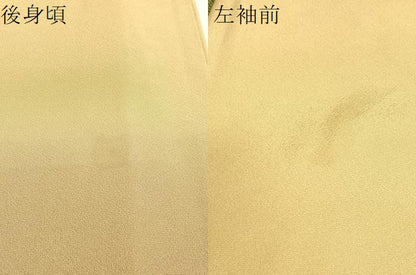 平和屋着物●十日町　加賀草木友禅の第一人者　田村哲彦　色留訪問着　御所解文　暈し染め　正絹　逸品　CABB4973vp