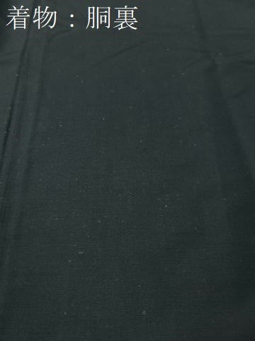 平和屋着物●男性　本場大島紬　アンサンブル　絣文様　正絹　逸品　CABB5077vp