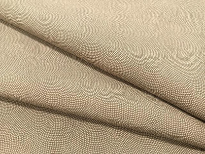 平和屋着物●江戸小紋　鮫小紋柄　正絹　逸品　CABB5111vp