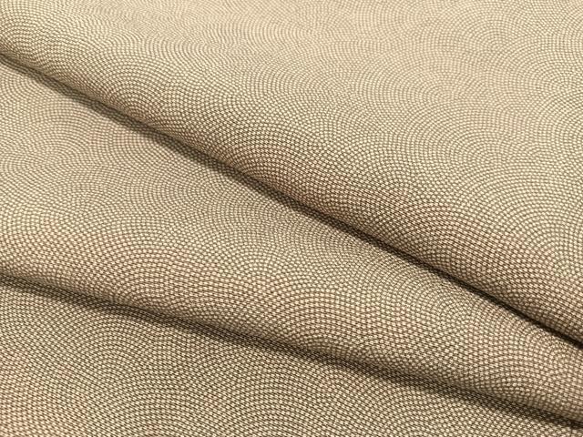 平和屋着物●江戸小紋　鮫小紋柄　正絹　逸品　CABB5111vp