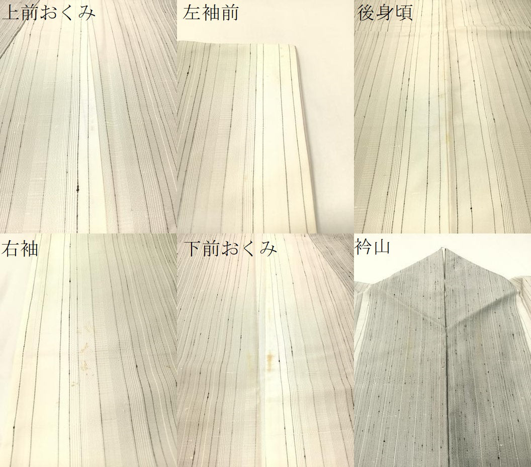 平和屋着物●訪問着 縦節紬 手描き 舞羽根文 正絹 逸品 CABB5150vp