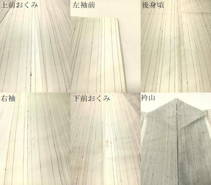 平和屋着物●訪問着 縦節紬 手描き 舞羽根文 正絹 逸品 CABB5150vp