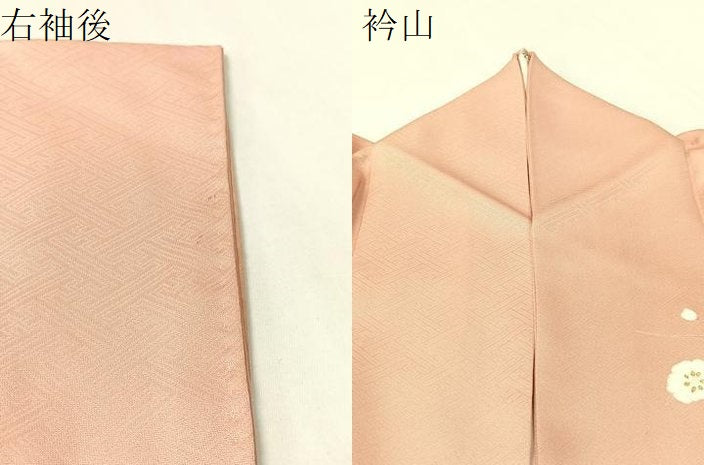 平和屋着物●訪問着　枝花文　金彩　正絹　逸品　CABB5153vp