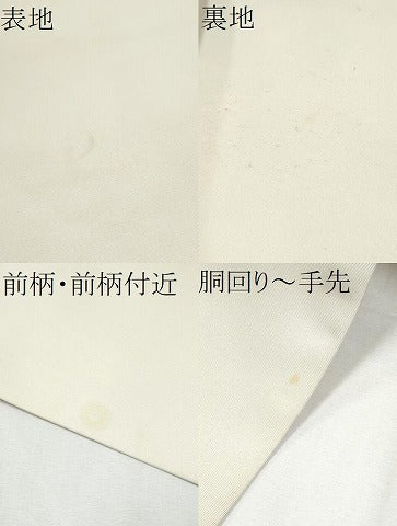 平和屋着物○塩瀬 九寸名古屋帯 ろうけつ染 枝花文 正絹