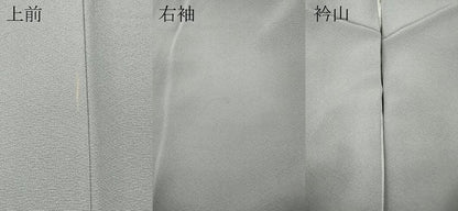 平和屋着物●上質な色無地 薄梅鼠色 正絹 逸品 CABB6077ut