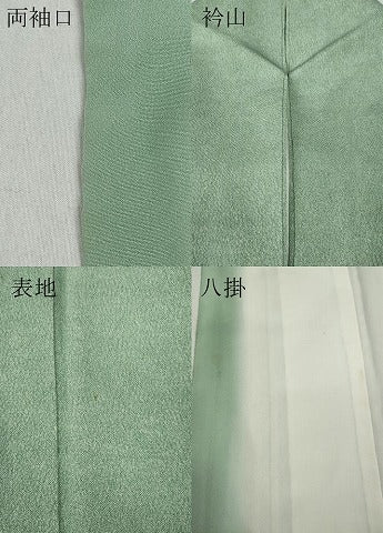 平和屋着物●江戸小紋　青木茂　鮫小紋柄　鬼しぼ縮緬　正絹　逸品　CABB6102ut