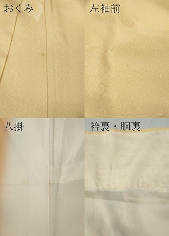 平和屋着物▼上質な小紋　地紋起こし　枝花文　暈し染め　正絹　逸品　CABB6112ut