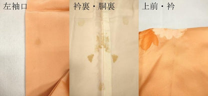 平和屋着物▼上質な小紋　地紋起こし　枝花文　暈し染め　正絹　逸品　CABB6140ut