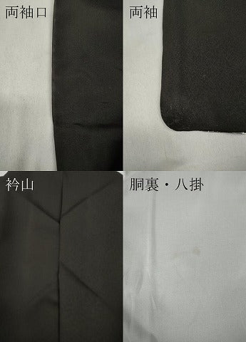 平和屋着物●訪問着　作家物　霞文　金銀糸　正絹　逸品　CABB6206ut