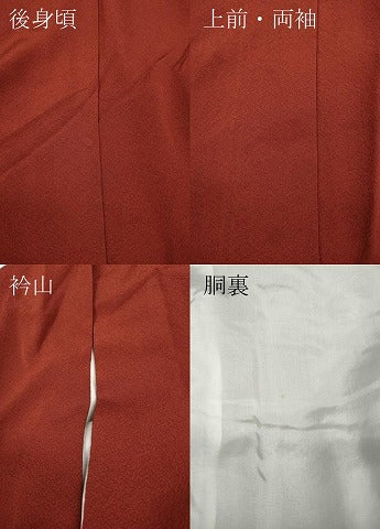 平和屋着物●豪華振袖　赤胴色　正絹　逸品　CABB6236ut