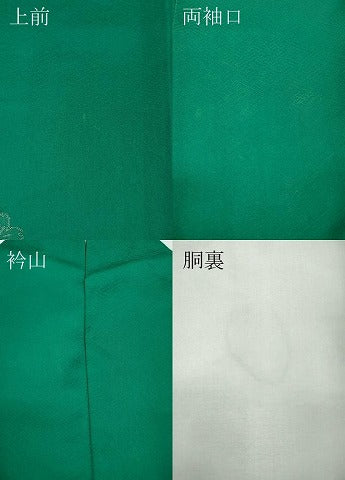 平和屋着物●染色作家　斉藤三才　振袖　寿光織　三才鳥　草花文　暈し染め　金銀糸　正絹　逸品　CABB6393ut