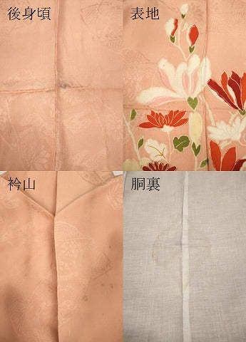 平和屋着物●アンティーク　大正ロマン　訪問着　花鳥文　暈し染め　金彩　正絹　逸品　CABB6395ut