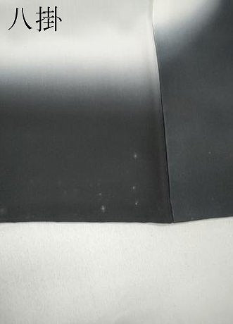 平和屋着物●訪問着　扇面南天花文　暈し染め　金彩　正絹　逸品　CABB6397ut