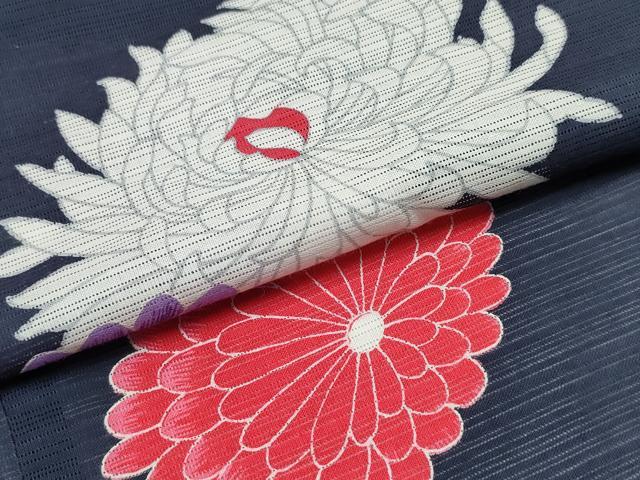 平和屋着物∴夏物 浴衣 綿絽 舞菊文 綿 逸品 CABB6660ng