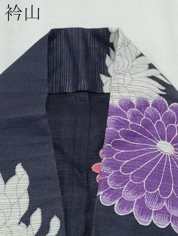 平和屋着物∴夏物 浴衣 綿絽 舞菊文 綿 逸品 CABB6660ng