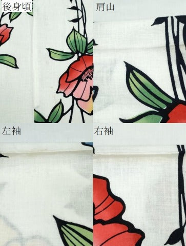 平和屋着物∴夏物　浴衣　枝花文　綿　逸品　CABB6718ng