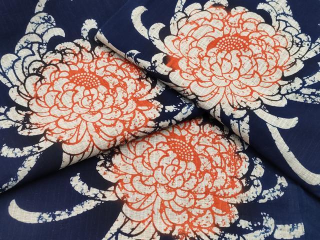 平和屋着物∴夏物 浴衣 乱菊 綿 逸品 CABB6746ng