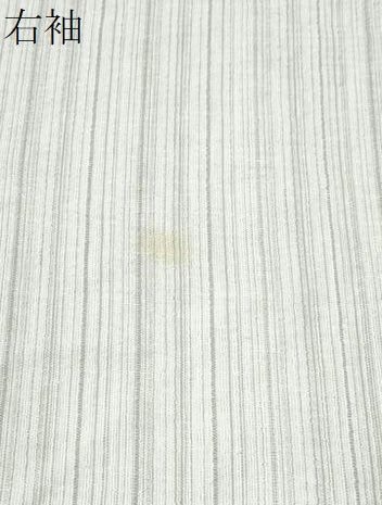 平和屋着物∴夏物　阿波しじら織　浴衣　縞　綿麻　逸品　CABB6750ng