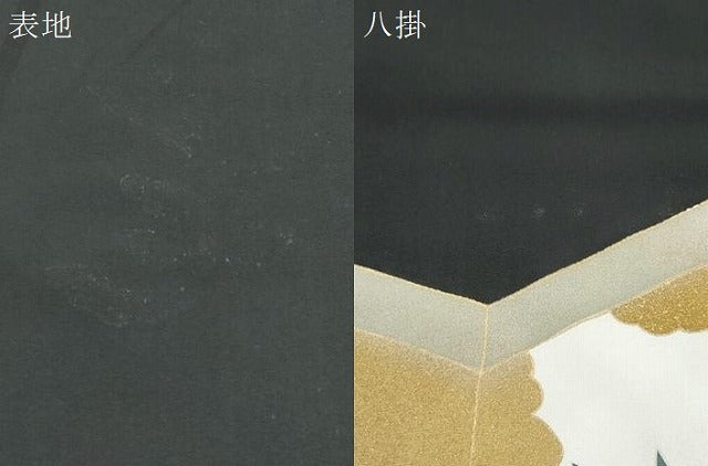 平和屋着物▼豪華黒留袖 刺繍 屏風孔雀花文 金彩 正絹 逸品 CABB6845th