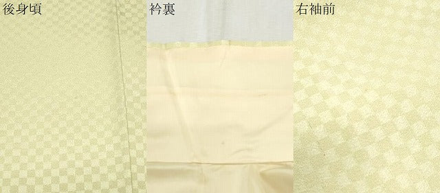 平和屋着物▼色留訪問着　手描き　孔雀文　暈し染め　金通し地　正絹　逸品　CABB7134th