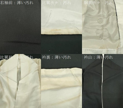 平和屋着物■豪華黒留袖 青海波枝松文 金彩 正絹 逸品 CABB7354dy