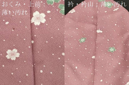 平和屋着物■小紋　舞花文　洗える着物　CABB7398dy