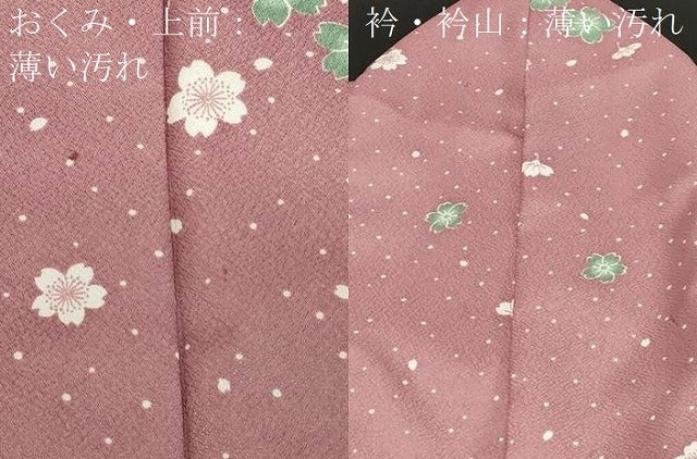平和屋着物■小紋　舞花文　洗える着物　CABB7398dy