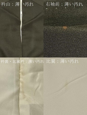 平和屋着物■豪華黒留袖　作家物　風景草花文　金彩　正絹　逸品　CABB8235in