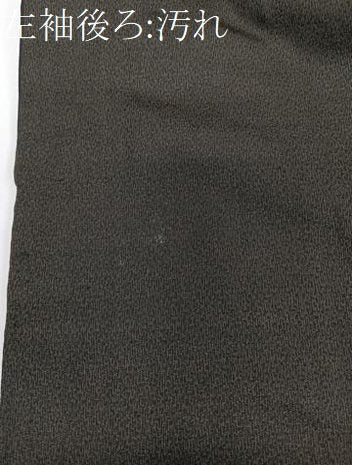 平和屋着物■男性 紬 霞文 正絹 逸品 CABB8771xi