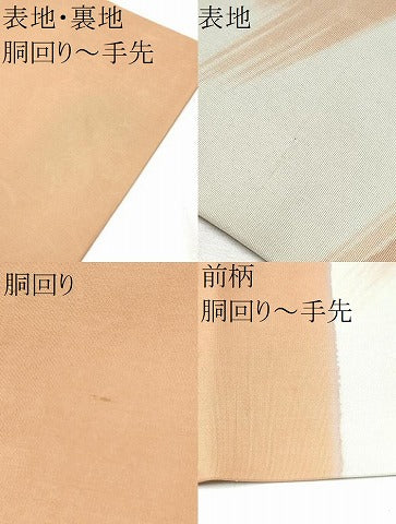 平和屋着物●塩瀬　九寸名古屋帯　枝花文　金銀彩　正絹　逸品　CABB9278hy