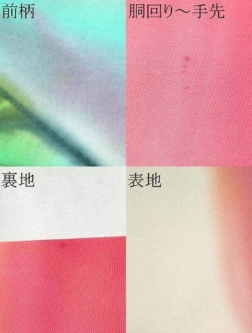 平和屋着物●虹色創家 本郷大田子 九寸名古屋帯 枝霞文 正絹 逸品 CABB9511hy