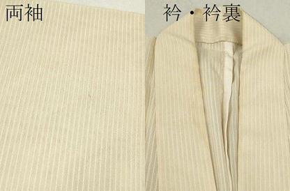 平和屋着物＊夏物 男性 訪問着 紗紬 手描き 笠 蛙 正絹 逸品 CABB9612ze