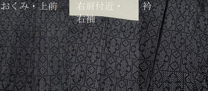 平和屋着物＊夏物 紗紬 吉祥文 正絹 逸品 CABB9624ze