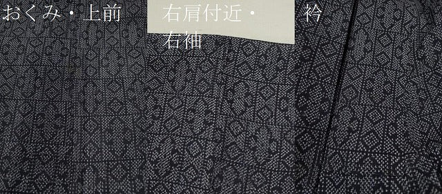 平和屋着物＊夏物 紗紬 吉祥文 正絹 逸品 CABB9624ze