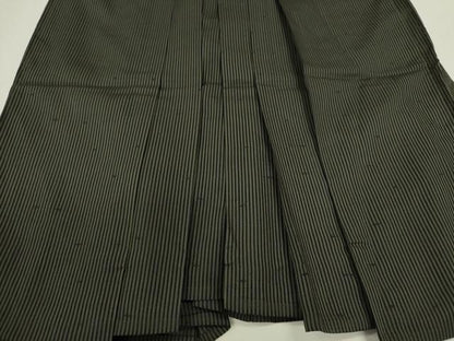 平和屋着物＊夏物 男性 馬乗り袴 縦絽紬 縞 正絹 逸品 CABB9627ze
