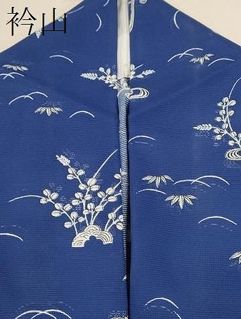 平和屋着物＊夏物 訪問着 絽 流水渡橋草花文 洗える着物 CABB9640ze