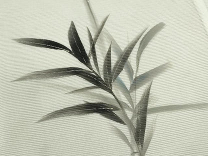 平和屋着物＊夏物 訪問着 絽 手描き 草木文 洗える着物 CABB9646ze
