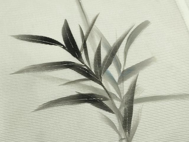 平和屋着物＊夏物 訪問着 絽 手描き 草木文 洗える着物 CABB9646ze