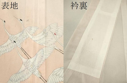 平和屋着物＊夏物 訪問着 絽 飛鶴文 暈し染め 洗える着物 CABB9648ze