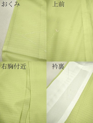平和屋着物＊夏物 訪問着 絽 花鳥文 暈し染め 金銀彩 洗える着物 未使用 CABB9652ze