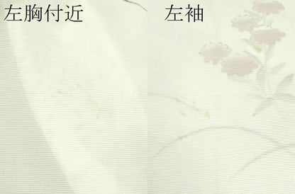 平和屋着物＊夏物 訪問着 絽 手描き 枝花文 暈し染め 洗える着物 CABB9653ze