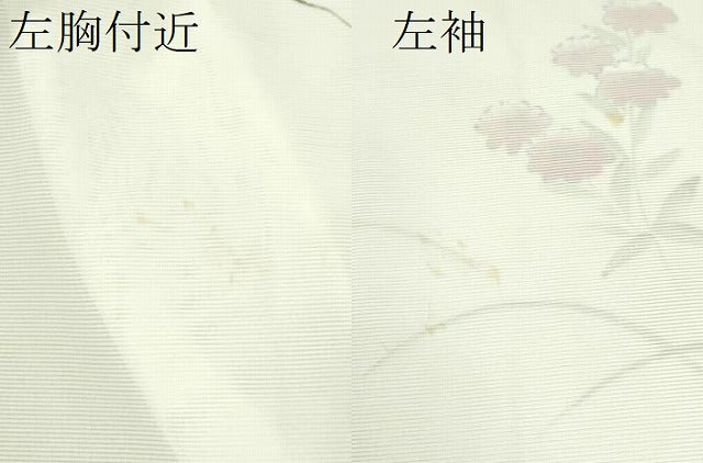 平和屋着物＊夏物 訪問着 絽 手描き 枝花文 暈し染め 洗える着物 CABB9653ze