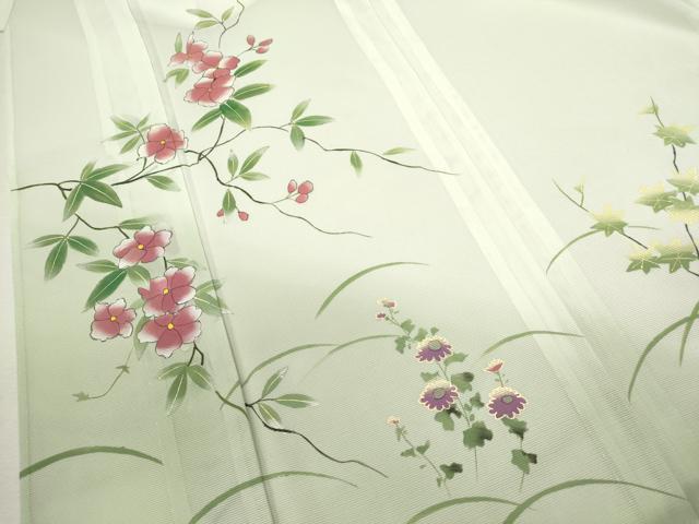 平和屋着物＊夏物 訪問着 絽 手描き 枝花文 暈し染め 洗える着物 CABB9653ze