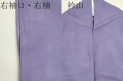 平和屋着物＊夏物 訪問着 絽 松竹梅風景文 金彩 洗える着物 CABB9671ze