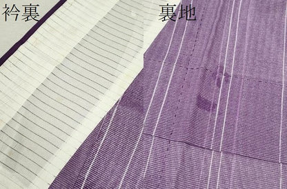平和屋着物＊夏物 小紋 絽 縞 枝葉文 洗える着物 CABB9674ze